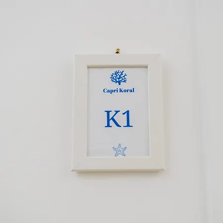 Koral 卡普里
